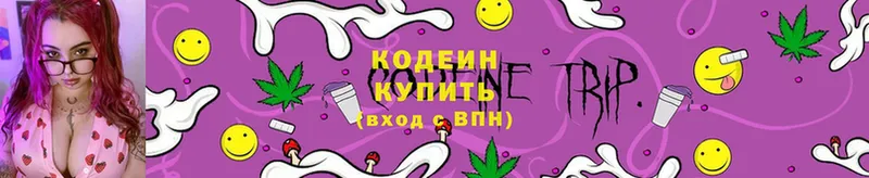 купить наркотики цена  Мамадыш  Кодеиновый сироп Lean Purple Drank 